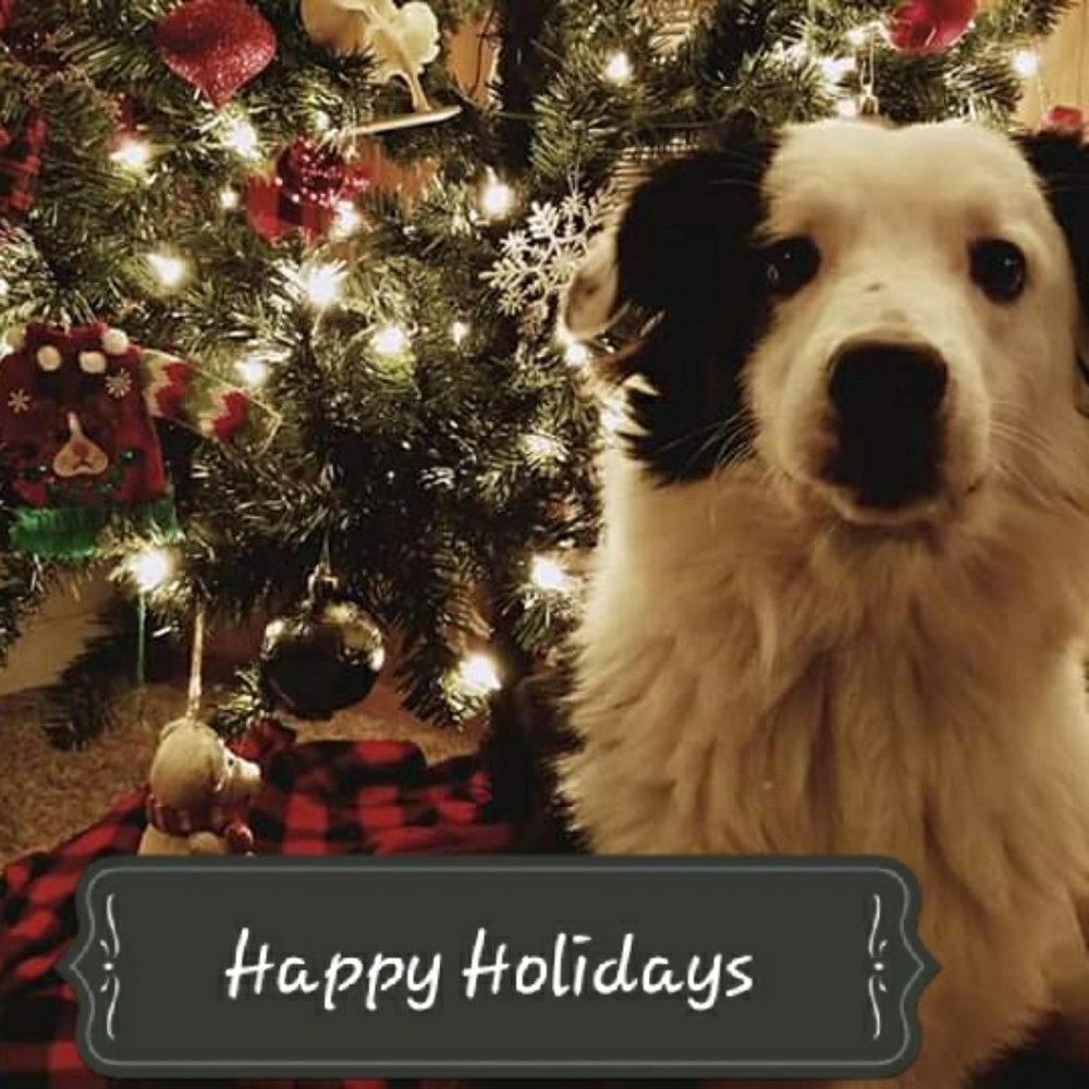 ❄Happy Holidays❄☃🎄